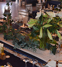 waterfall cove venue