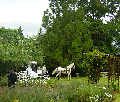 Everwood Country Weddings