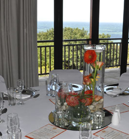 meander manor