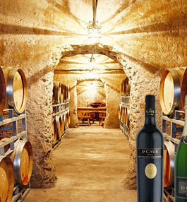 Wellington Wines