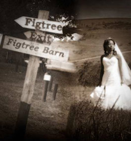 Desmonds Photography