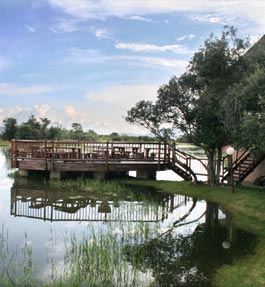 fatherland estate