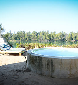 The Hatchery