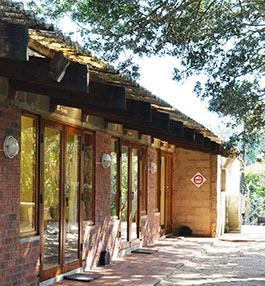 The Hatchery