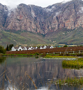 Zorgvliet Wines