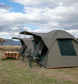 Petrichor Tent Rentals
