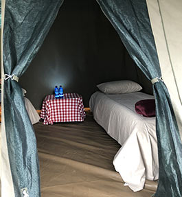 Petrichor Tent Rentals