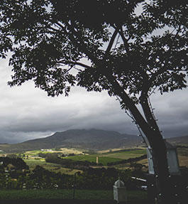 Bona Dea Private Estate