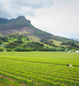 Zorgvliet Wines