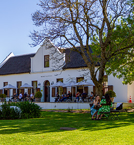 Zorgvliet Wines