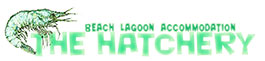 The Hatchery